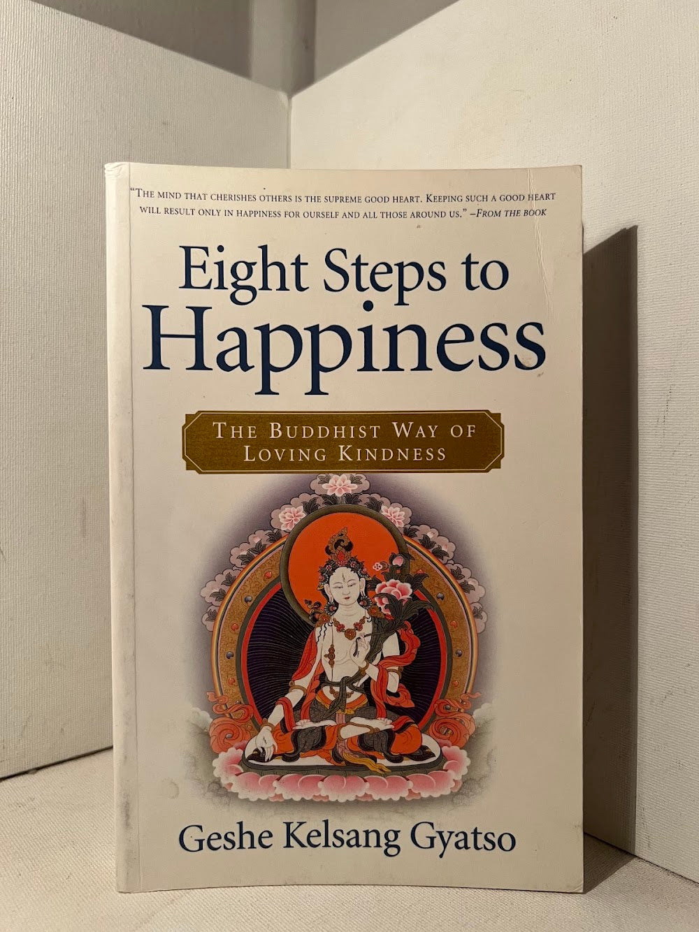 Eight Steps to Happiness by Geshe Kelsang Gyatso