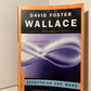 Everything and More: A Compact History of Infinity by David Foster Wallace
