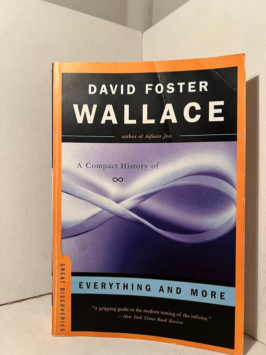 Everything and More: A Compact History of Infinity by David Foster Wallace