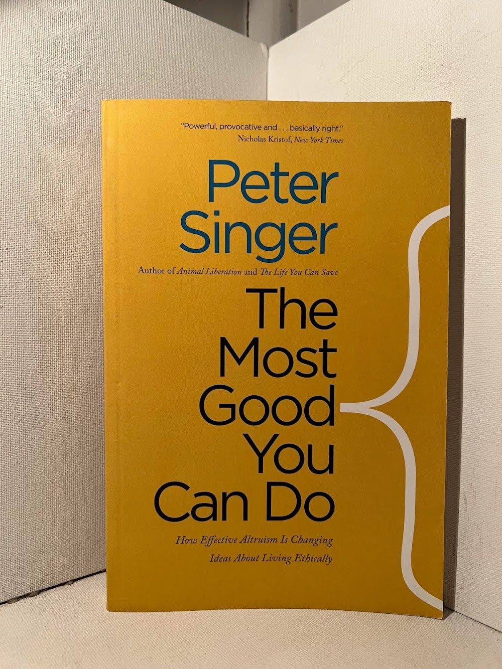 The Most Good You Can Do by Peter Singer