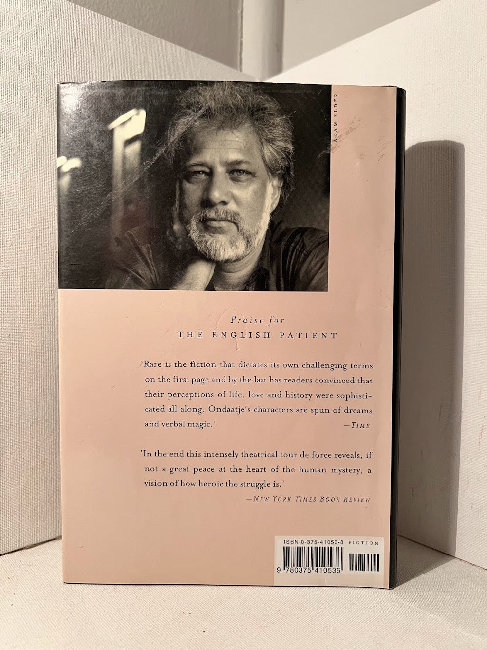 Anil's Ghost by Michael Ondaatje