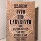 Into the Labyrinth by H.W. Brands