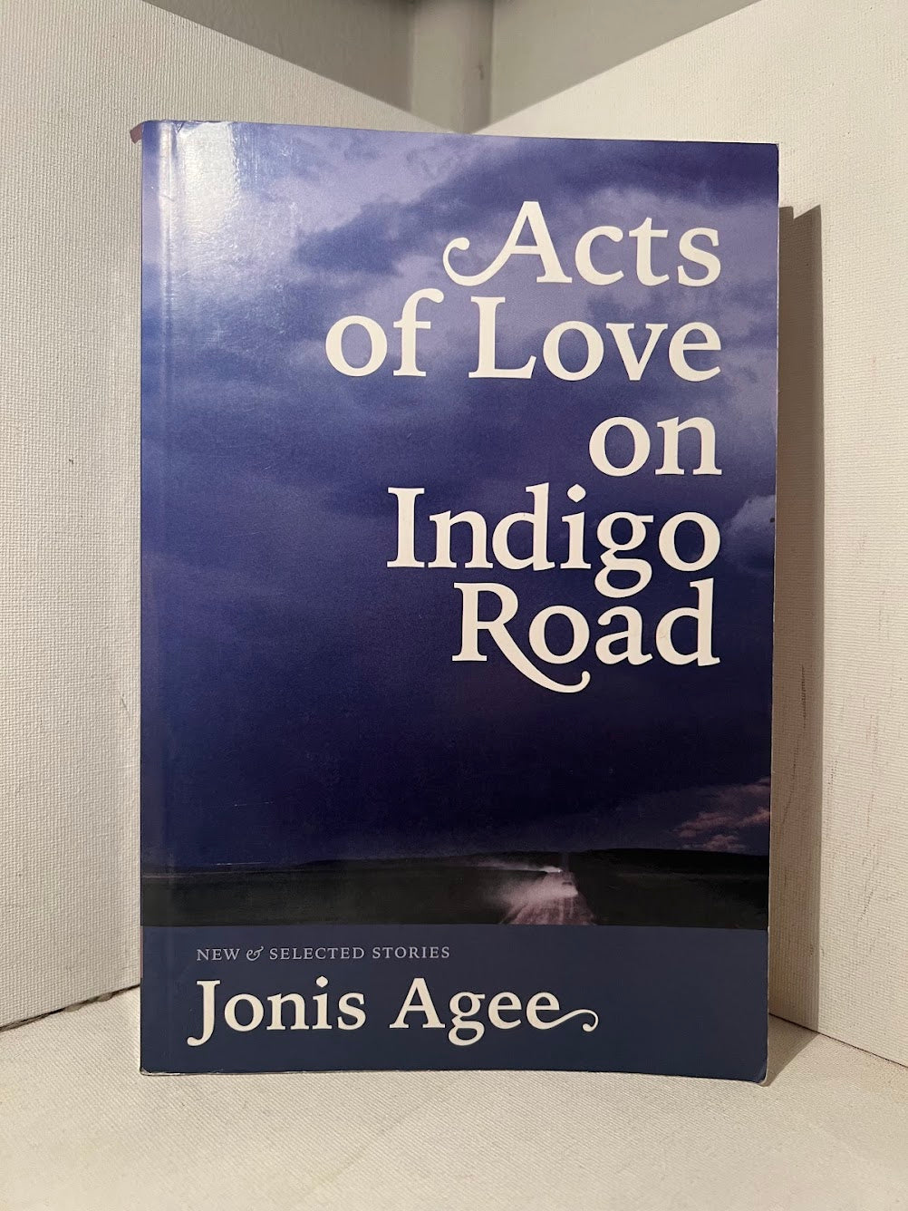 Acts of Love on Indigo Road by Jonis Agee