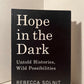 Hope in the Dark by Rebecca Solnit