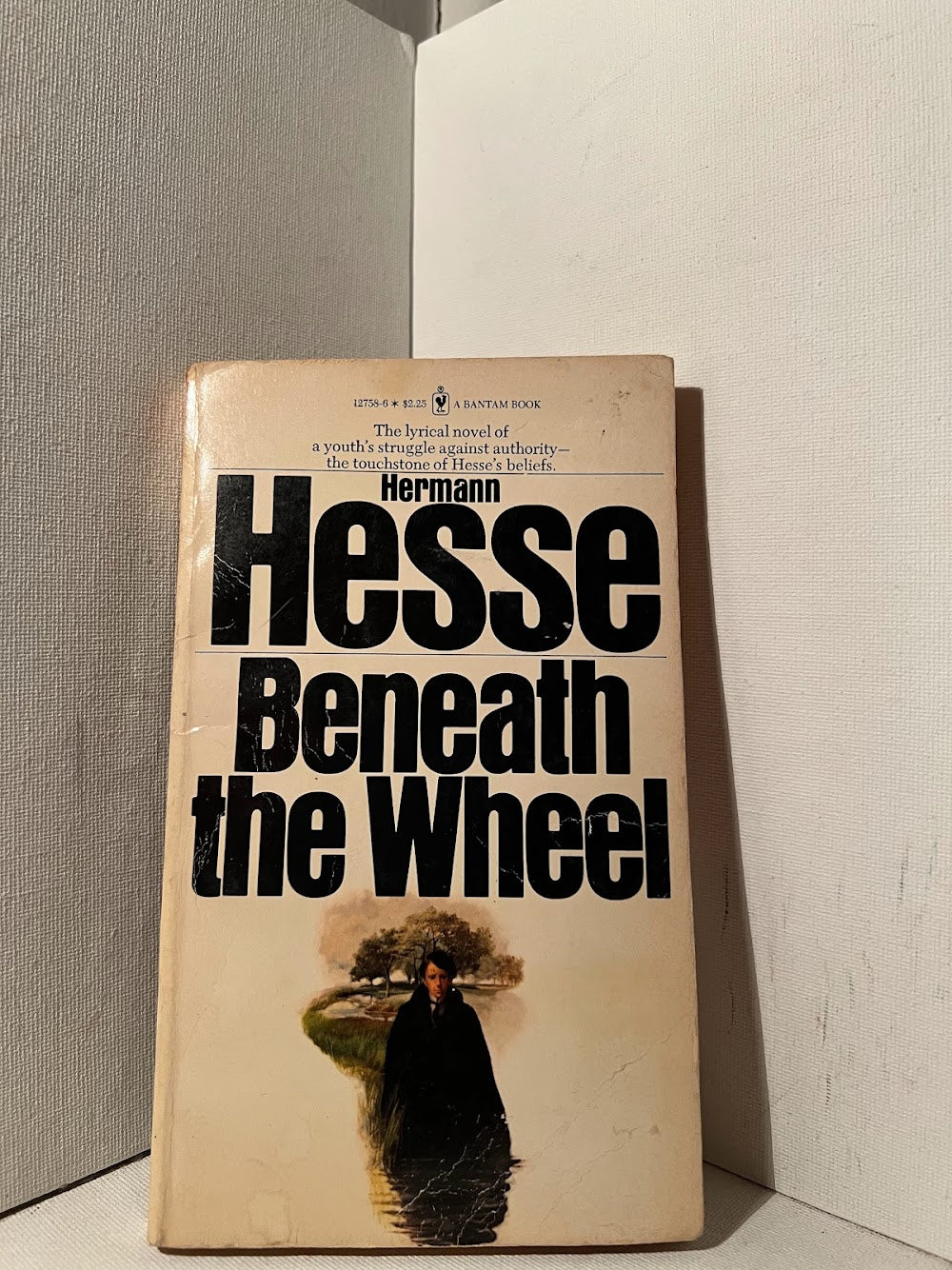 Beneath the Wheel by Hermann Hesse