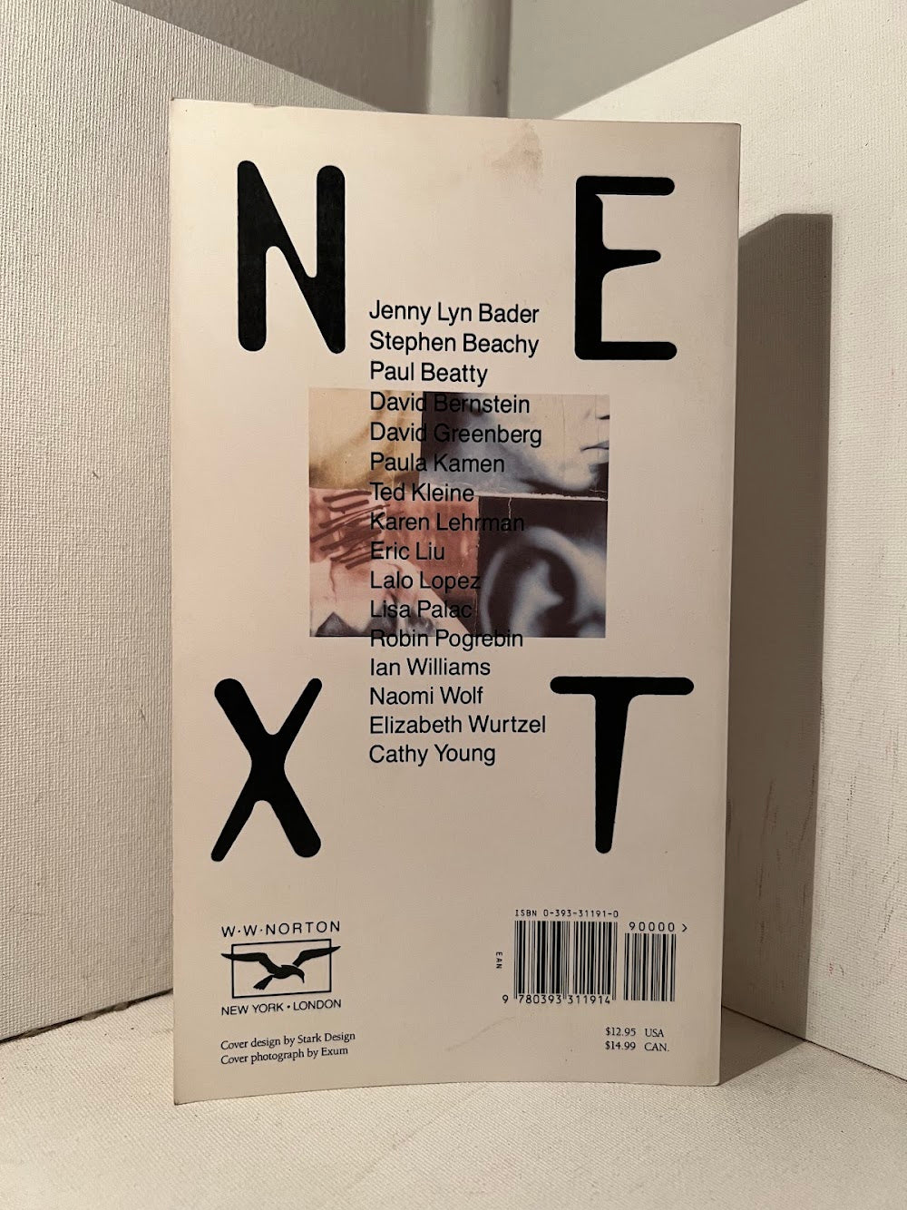 NEXT - Young American Writers on the New Generation edited by Eric Liu