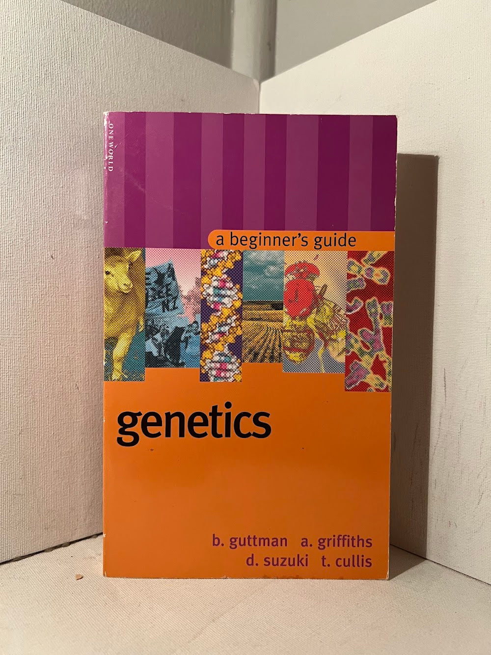 Genetics - A Beginner's Guide by B. Guttman, A. Griffiths, D. Suzuki, T. Cullis