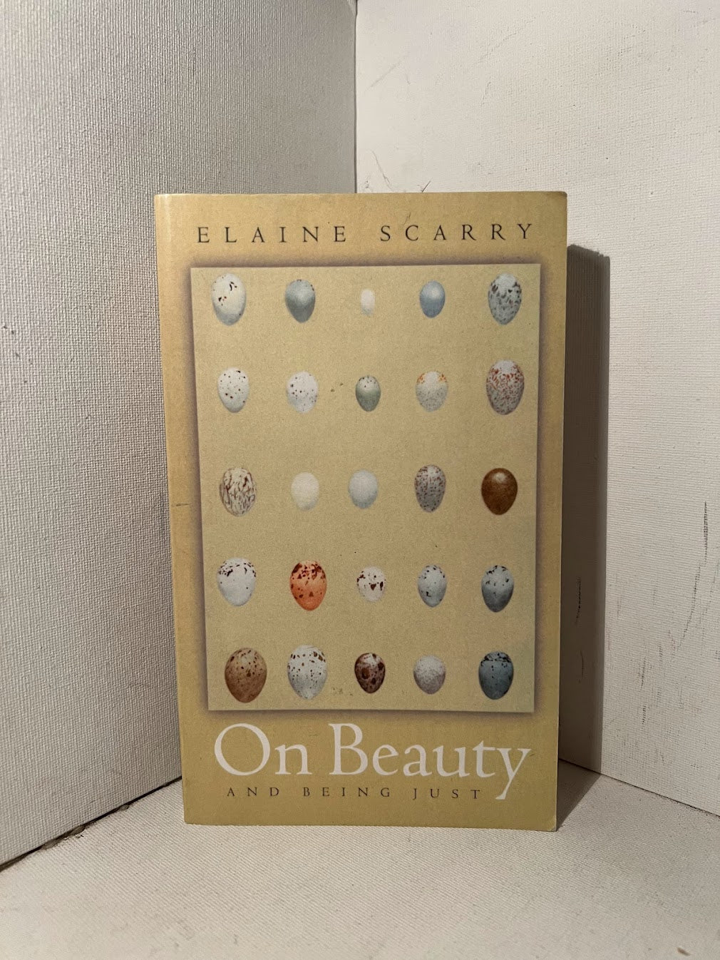 On Beauty and Being Just by Elaine Scarry