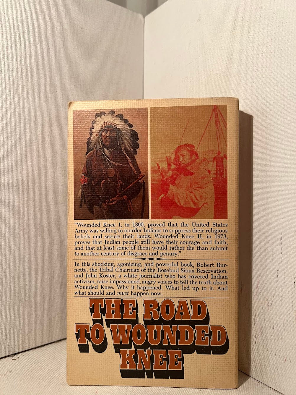 The Road to Wounded Knee by Robert Burnette