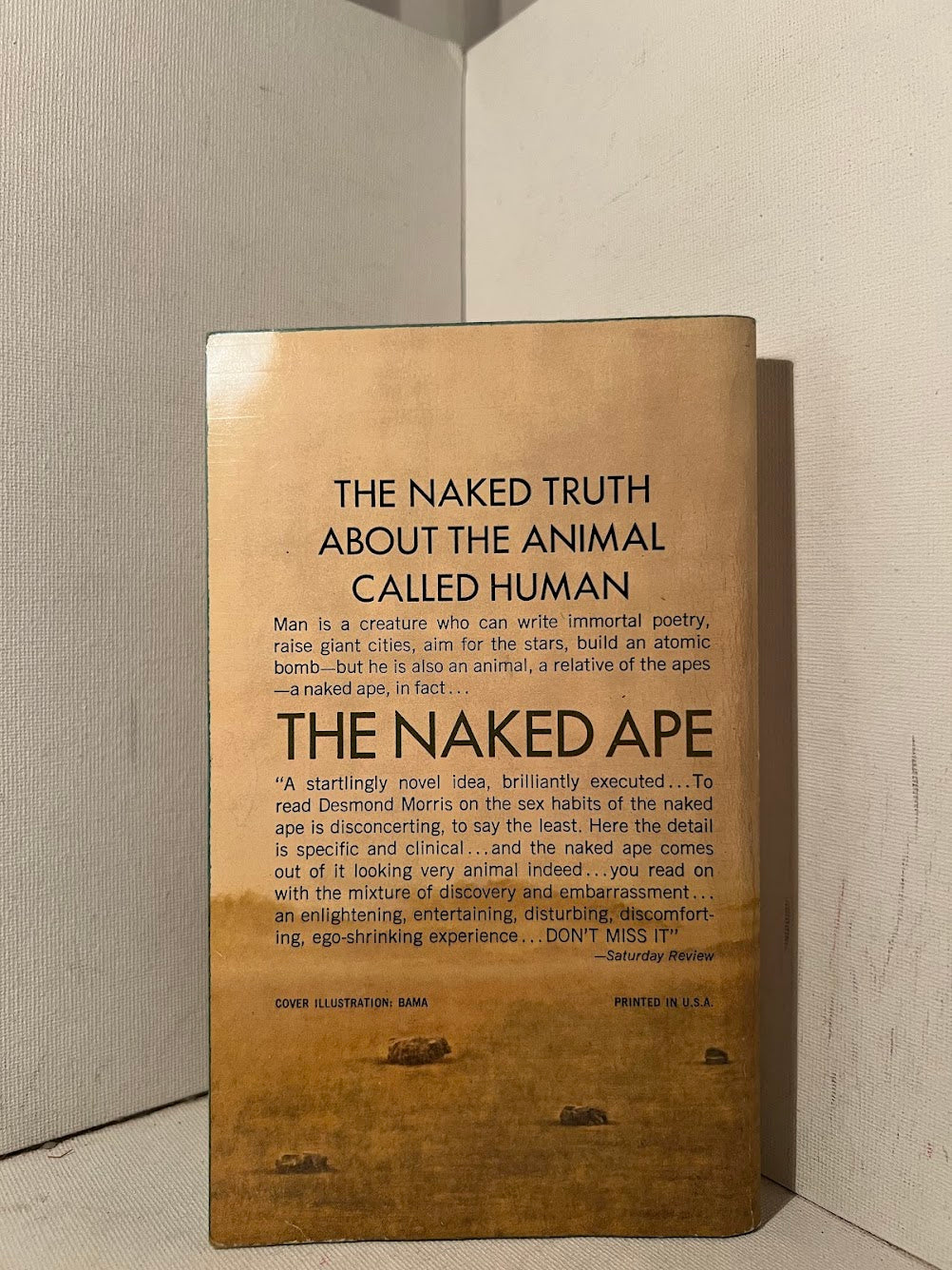 The Naked Ape by Desmond Morris