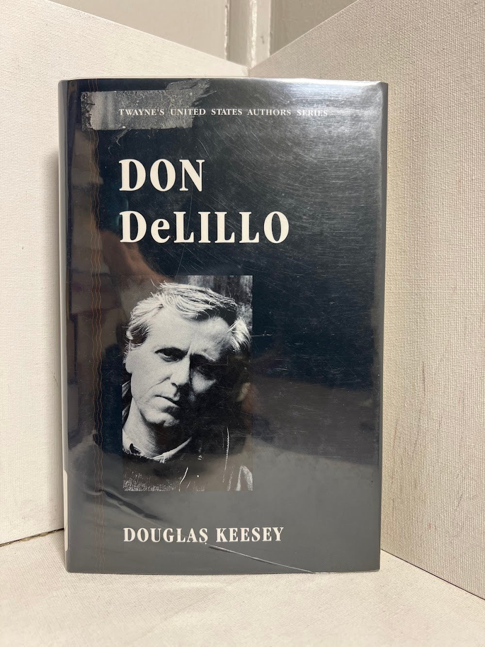 Don DeLillo by Douglas Keesey