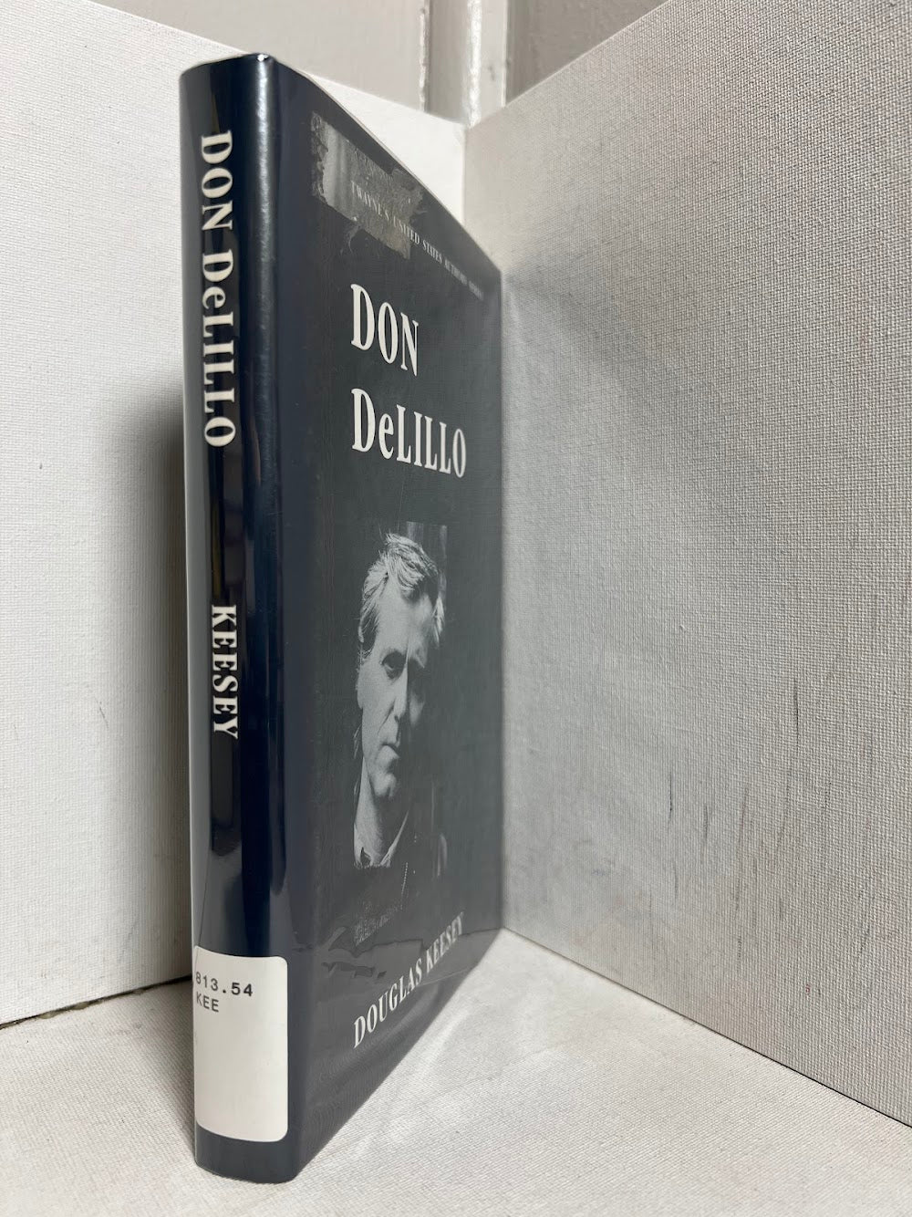 Don DeLillo by Douglas Keesey