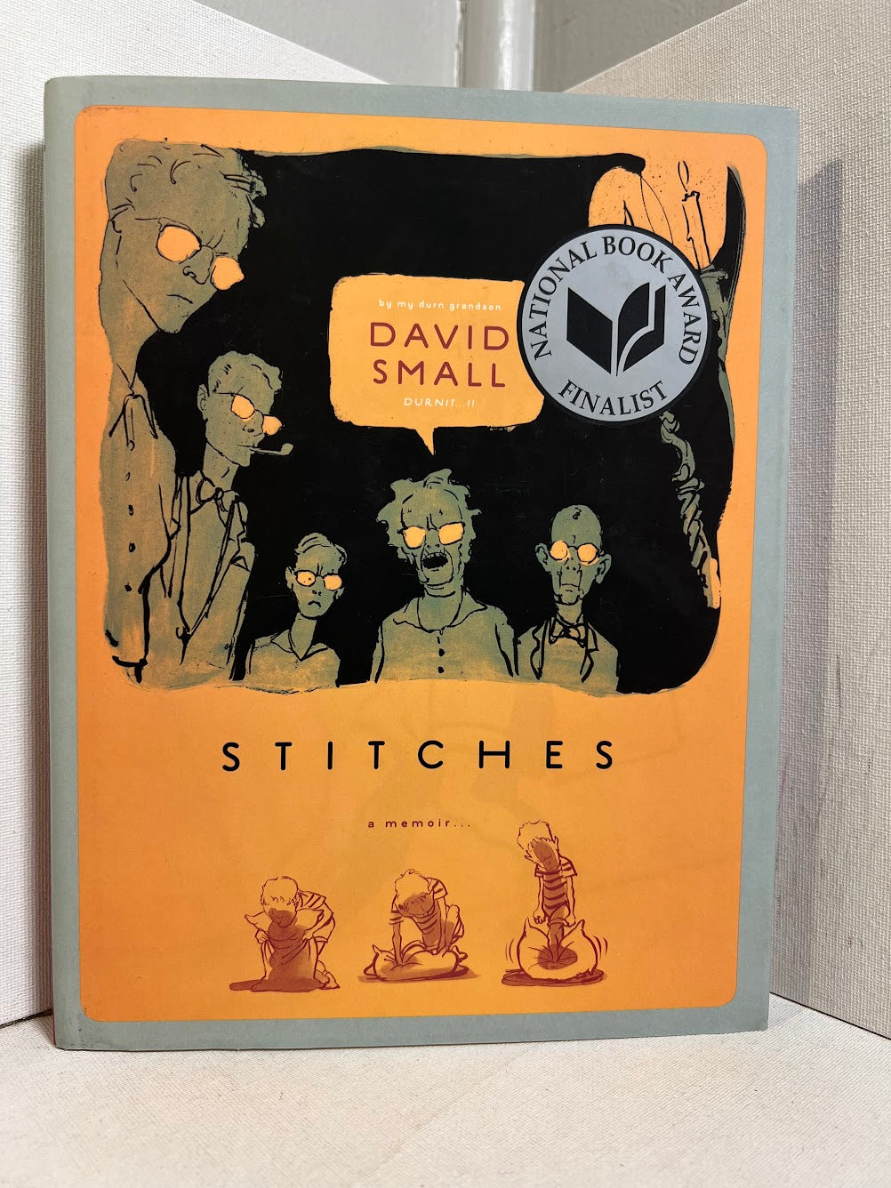 Stitches by David Small