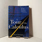 A Tour of the Calculus by David Berlinski