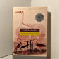 Birds of America by Lorrie Moore