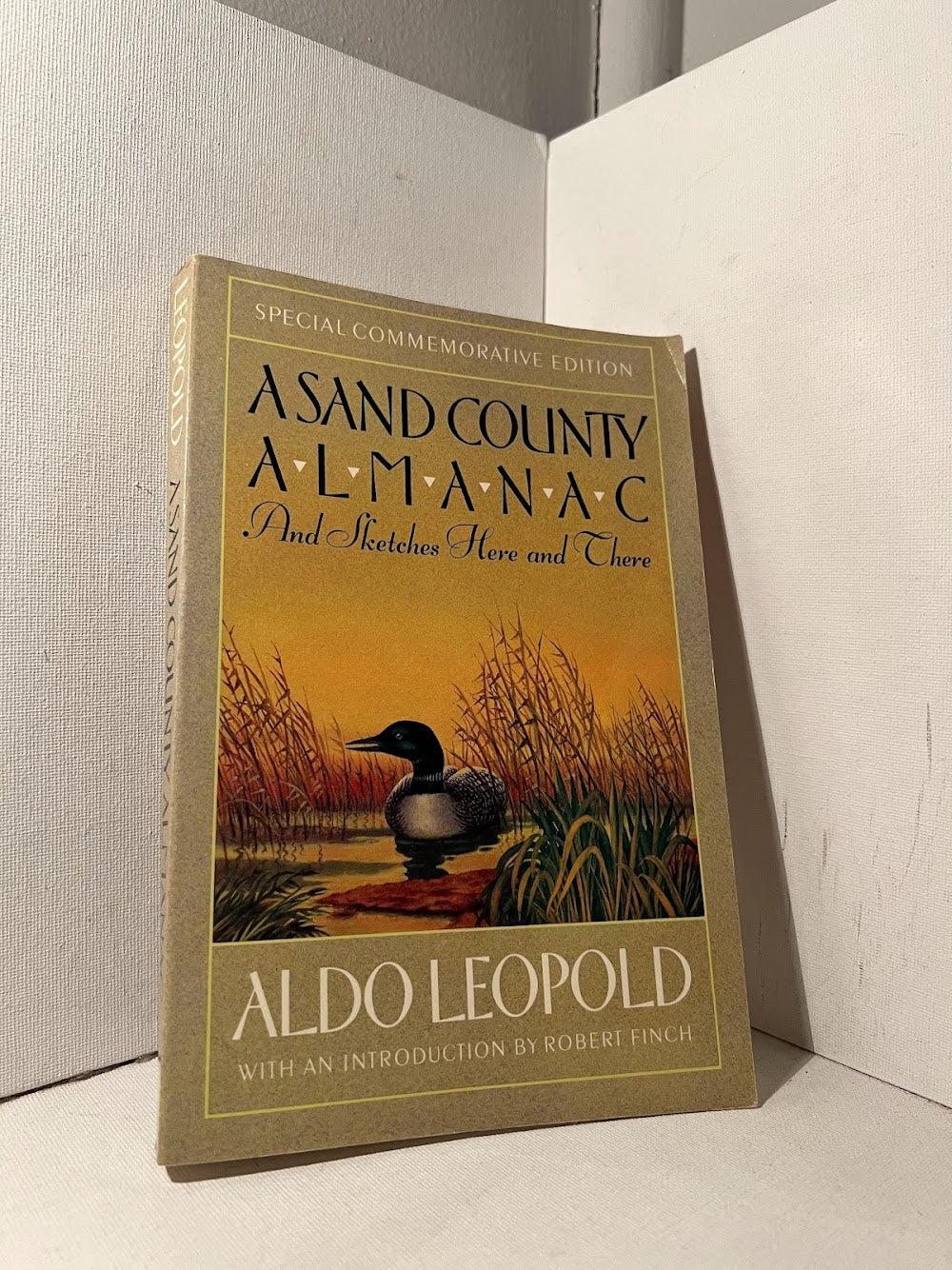 A Sand County Almanac by Aldo Leopold