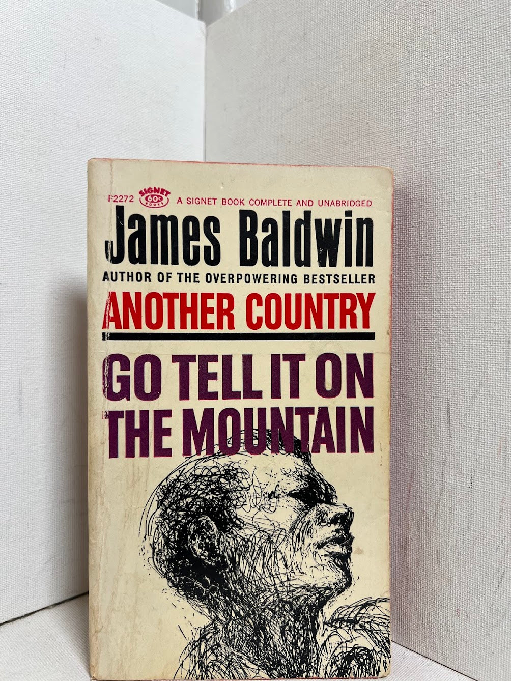 Go Tell It On The Mountain by James Baldwin