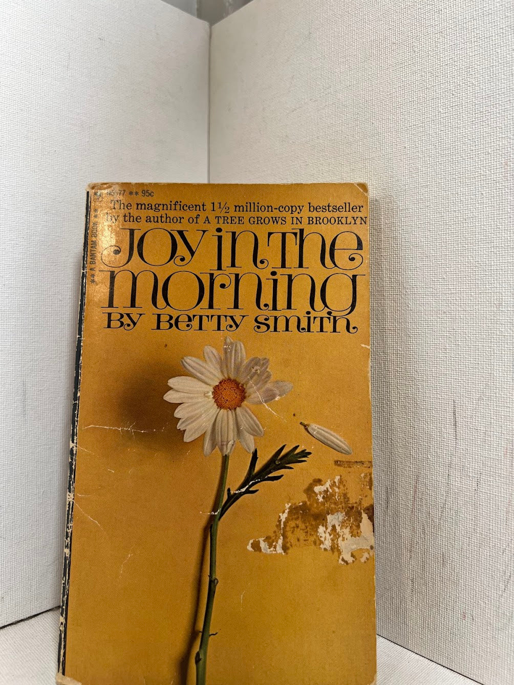 Joy in the Morning by Betty Smith