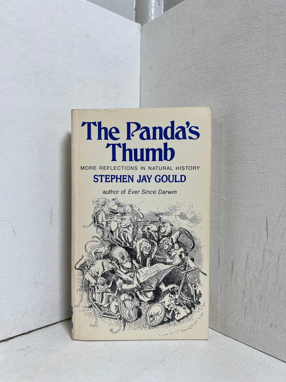 3 by Stephen Jay Gould