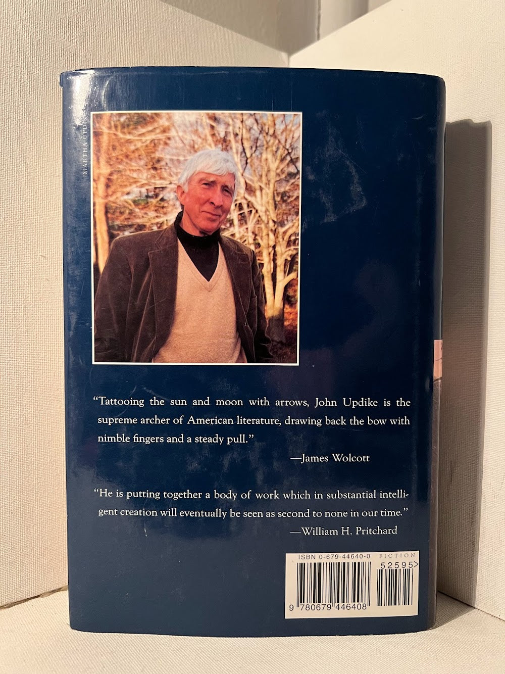 In the Beauty of the Lilies by John Updike