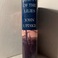 In the Beauty of the Lilies by John Updike