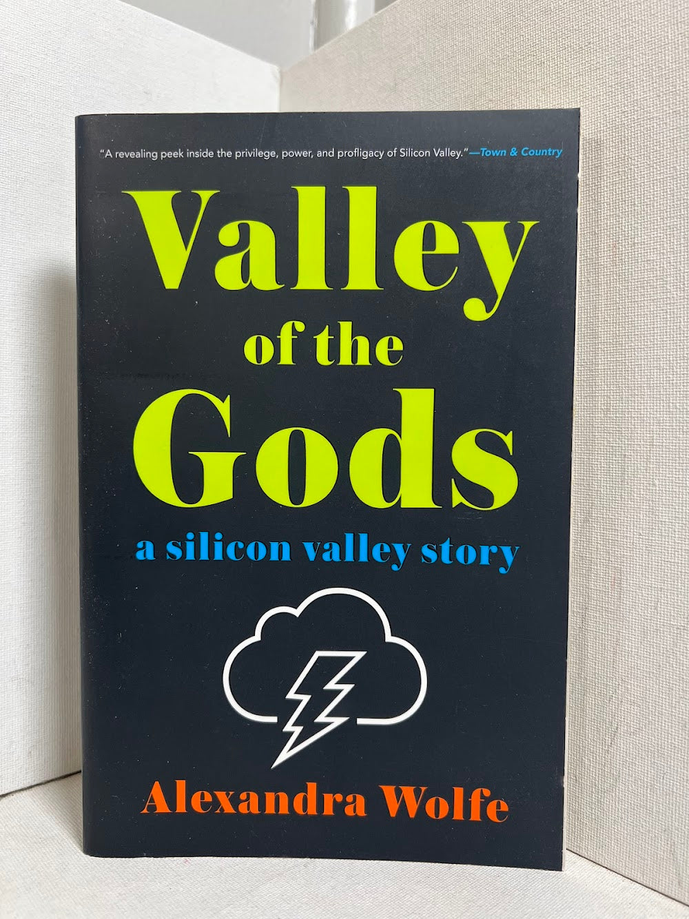 Valley of the Gods - A Silicon Valley Story by Alexandra Wolfe