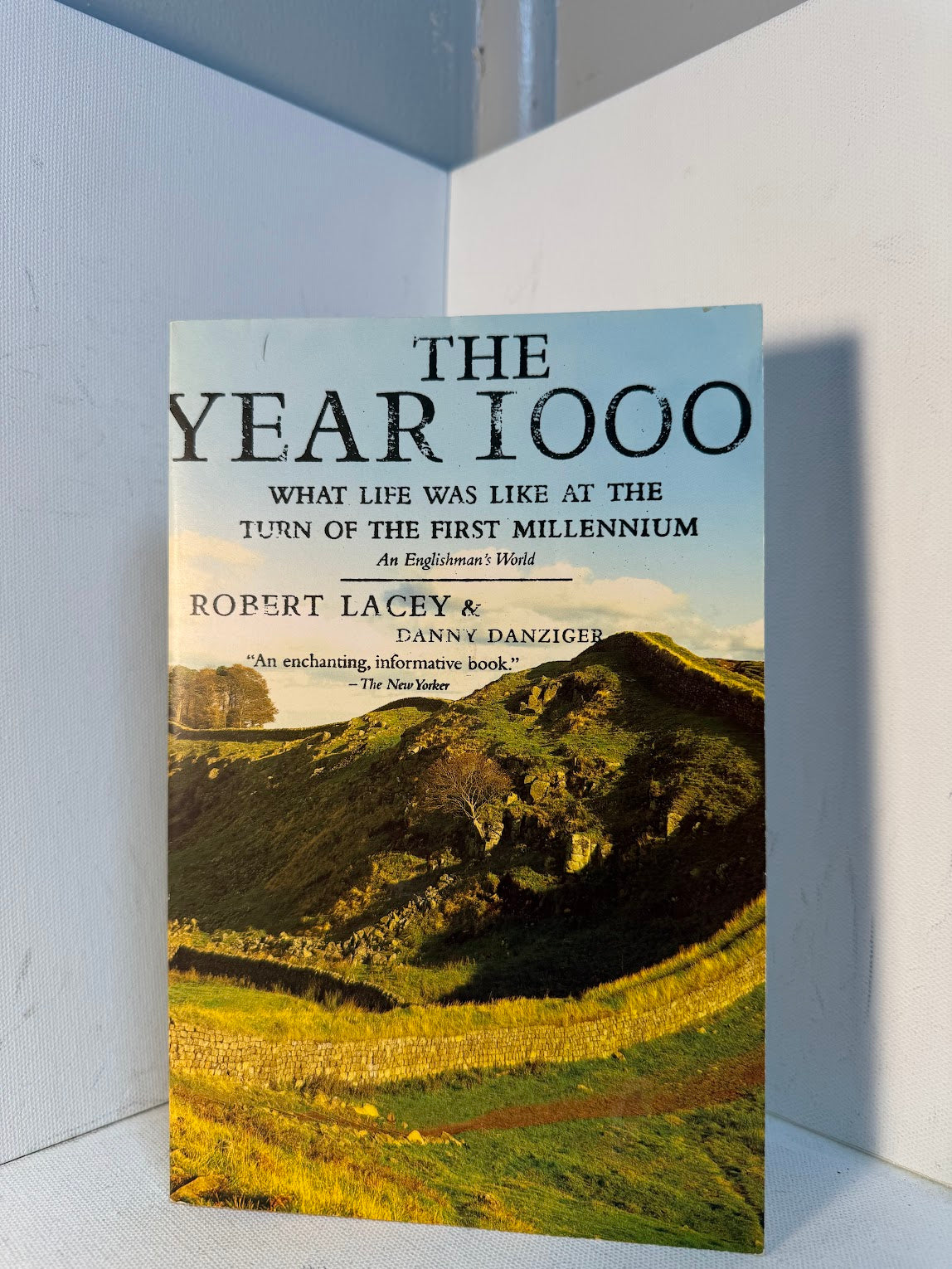 The Year 1000 by Robert Lacey & Danny Danziger