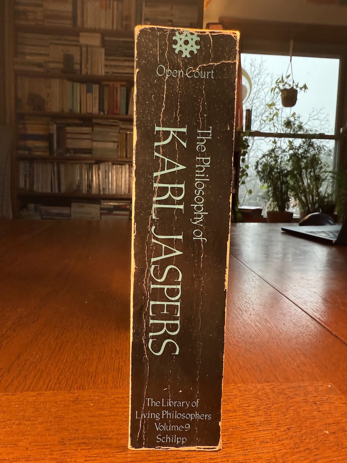 The Philosophy of Karl Jaspers