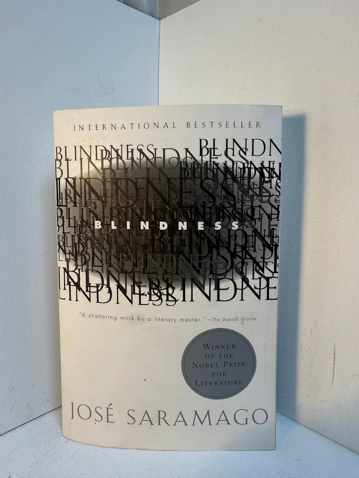 Blindness by Jose Saramago