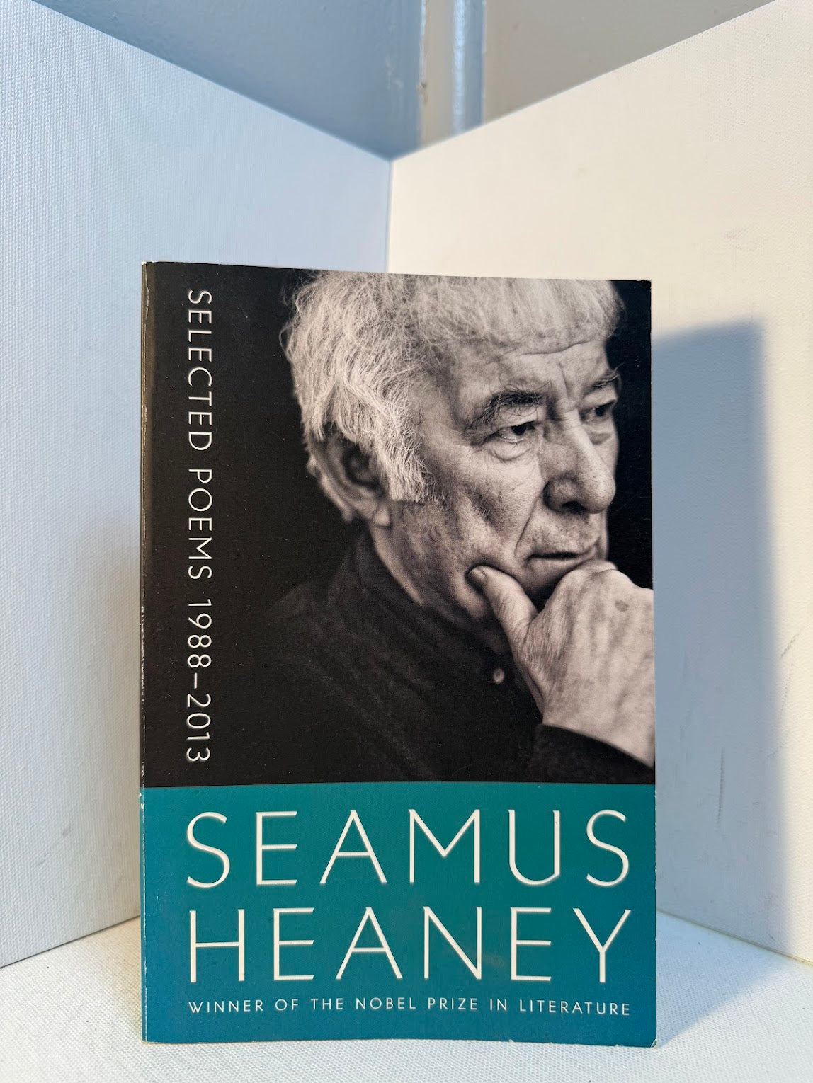 Selected Poems 1988-2013 by Seamus Heaney