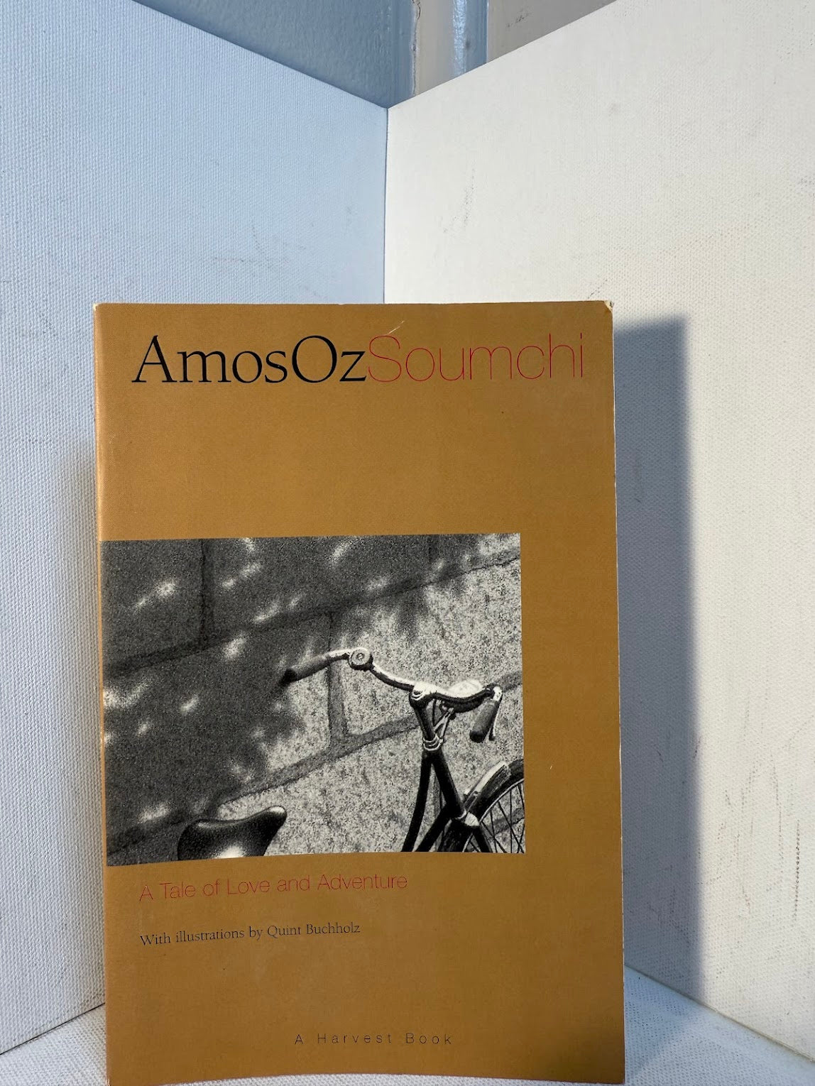 Soumchi by Amos Oz