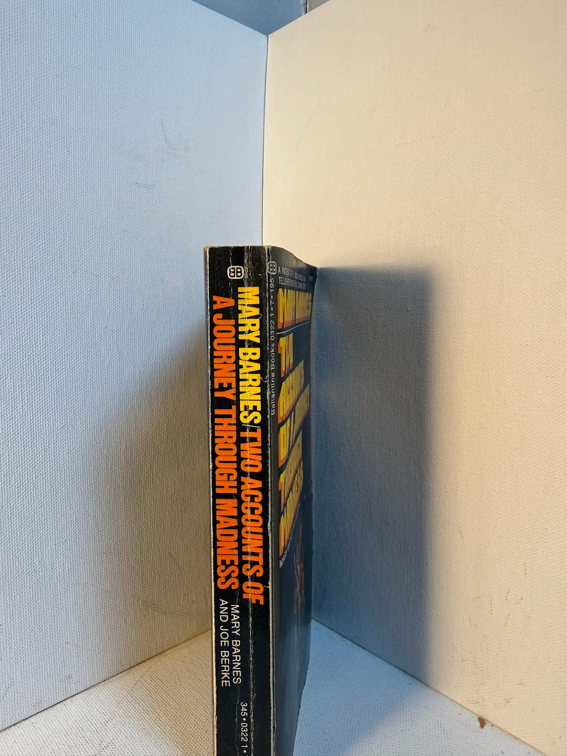 Two Accounts of a Journey Through Madness by Mary Barnes