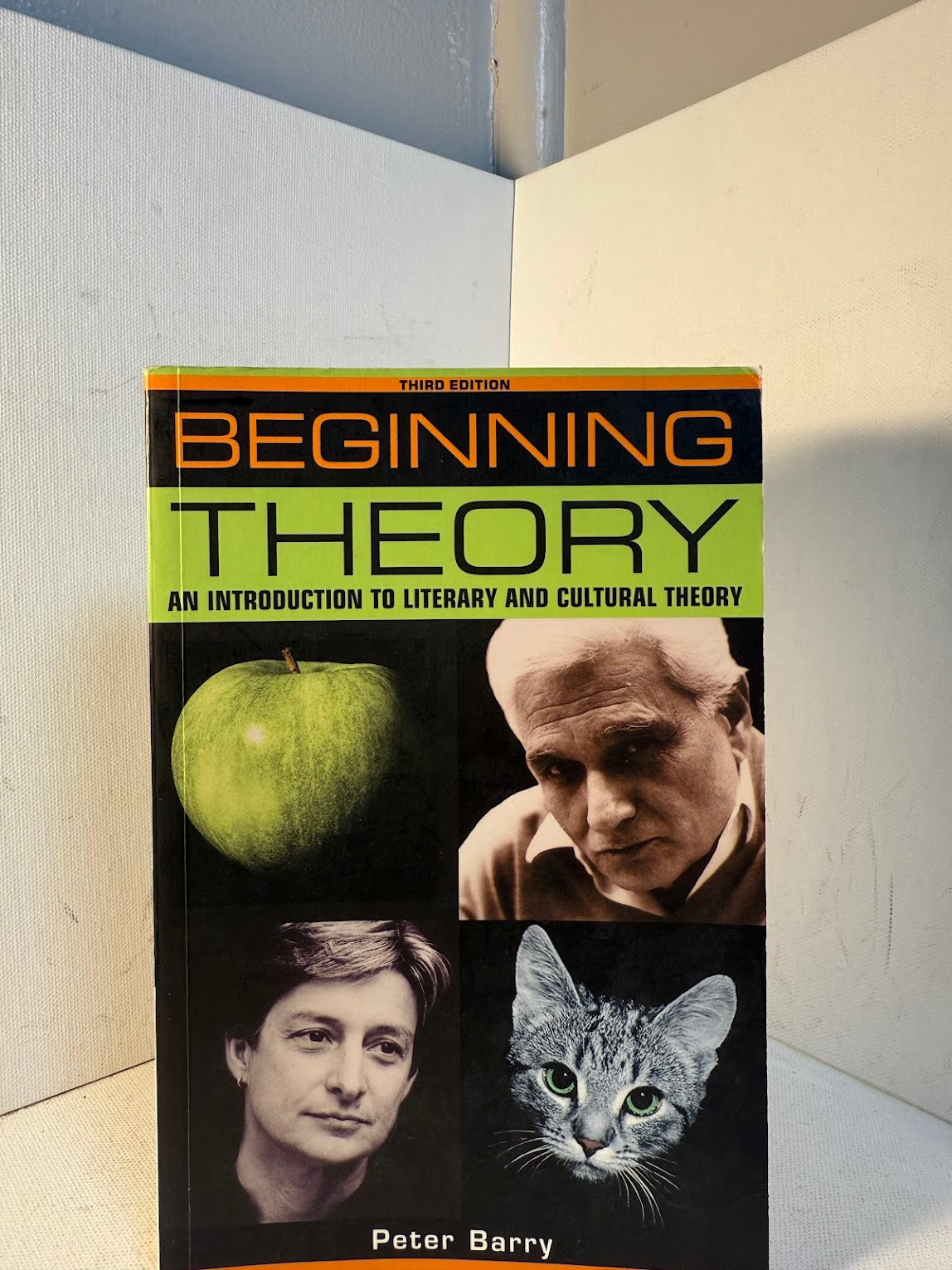 Beginning Theory by Peter Barry