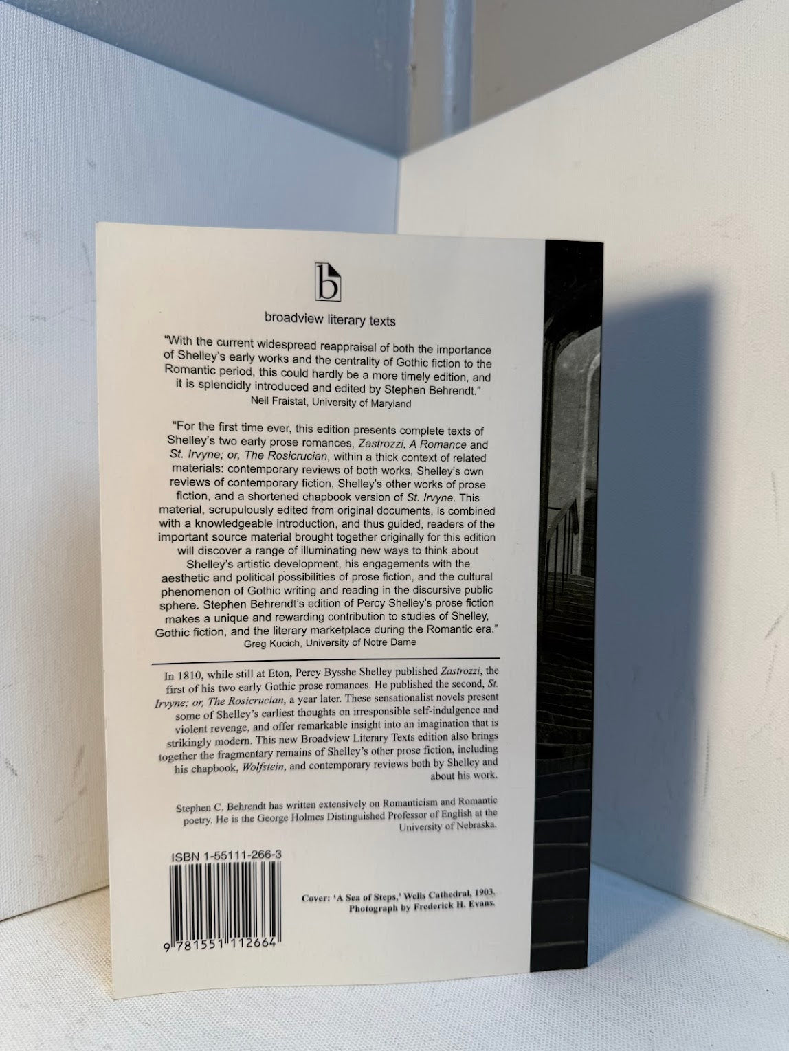 Zastrozzi & St. Irvyne by Percy Bysshe Shelley