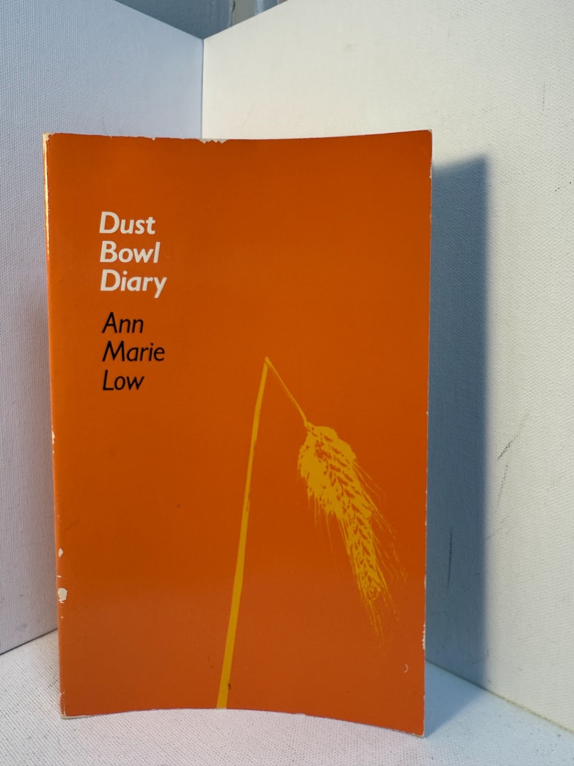 Dust Bowl Diary by Ann Marie Low