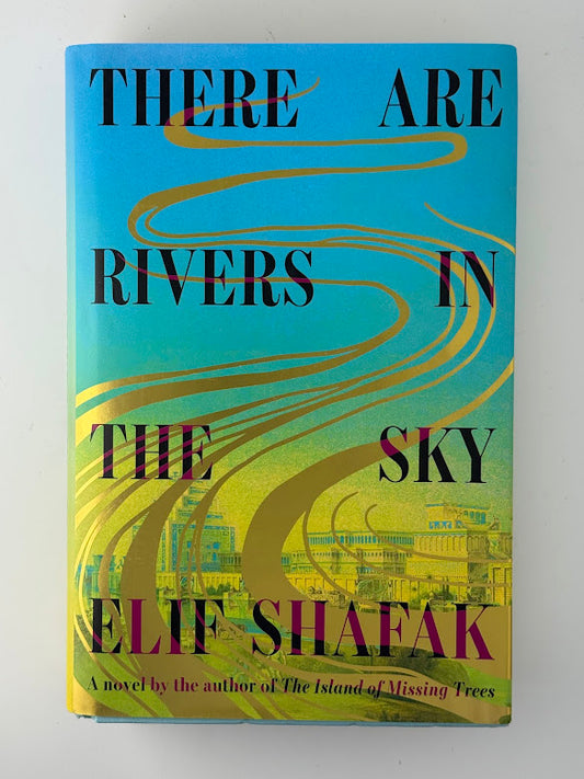 There Are Rivers in the Sky by Elif Shafak