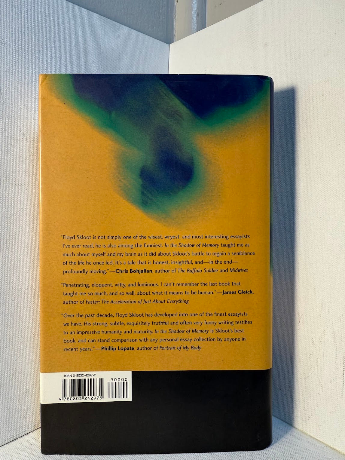 In the Shadow of Memory by Floyd Skloot