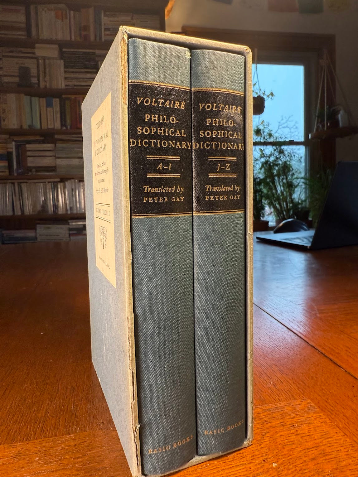 Philosophical Dictionary in Two Volumes by Voltaire