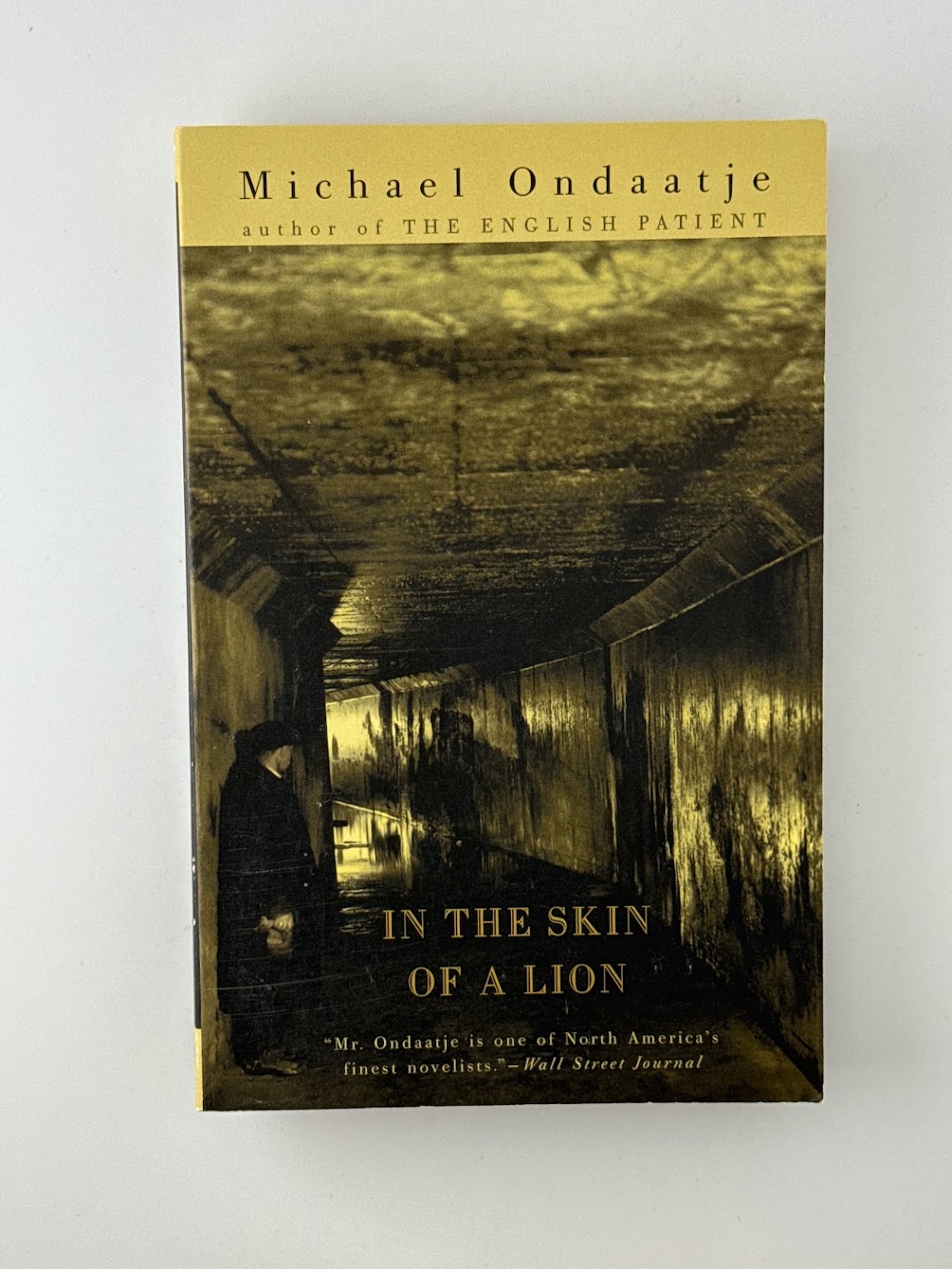 In the Skin of a Lion by Michael Ondaatje