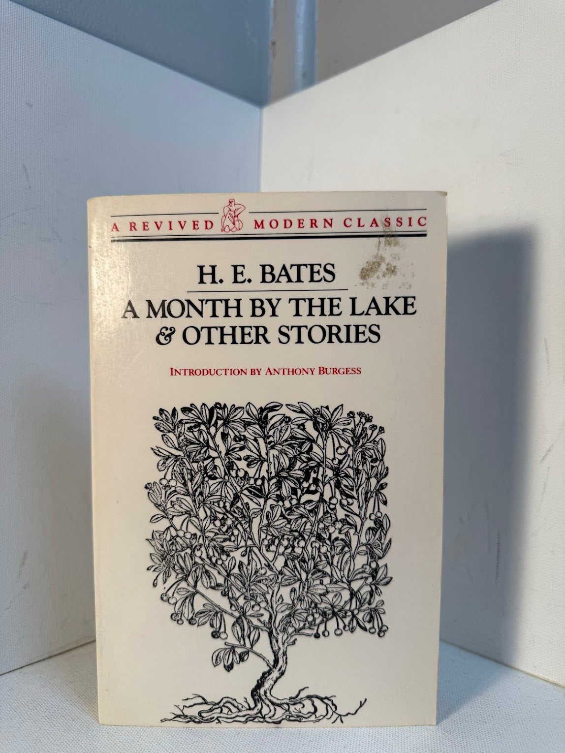 A Month by the Lake & Other Stories by H.E. Bates