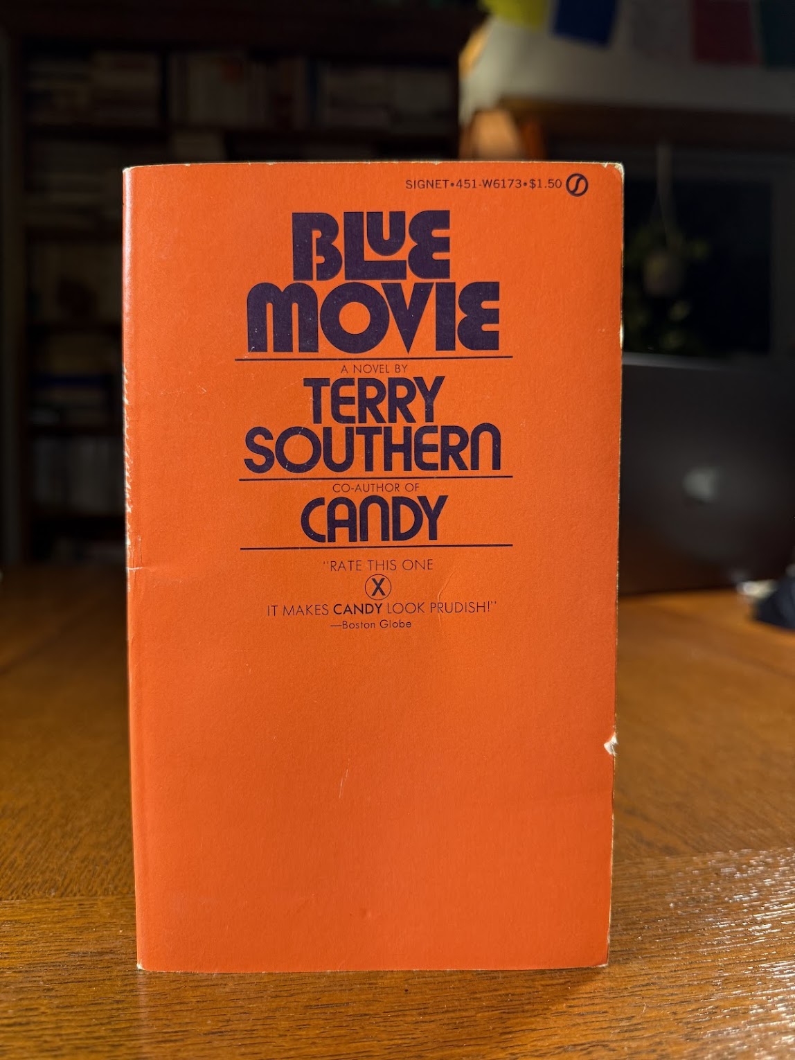 Blue Movie by Terry Southern