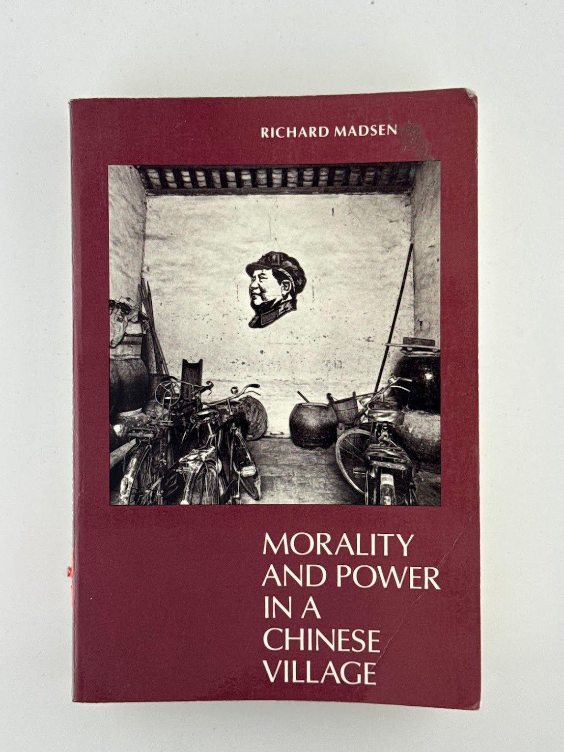 Morality and Power in a Chinese Village by Richard Madsen