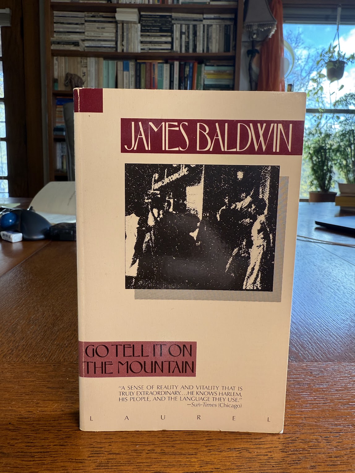 Go Tell It On The Mountain by James Baldwin