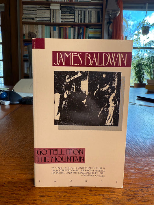 Go Tell It On The Mountain by James Baldwin