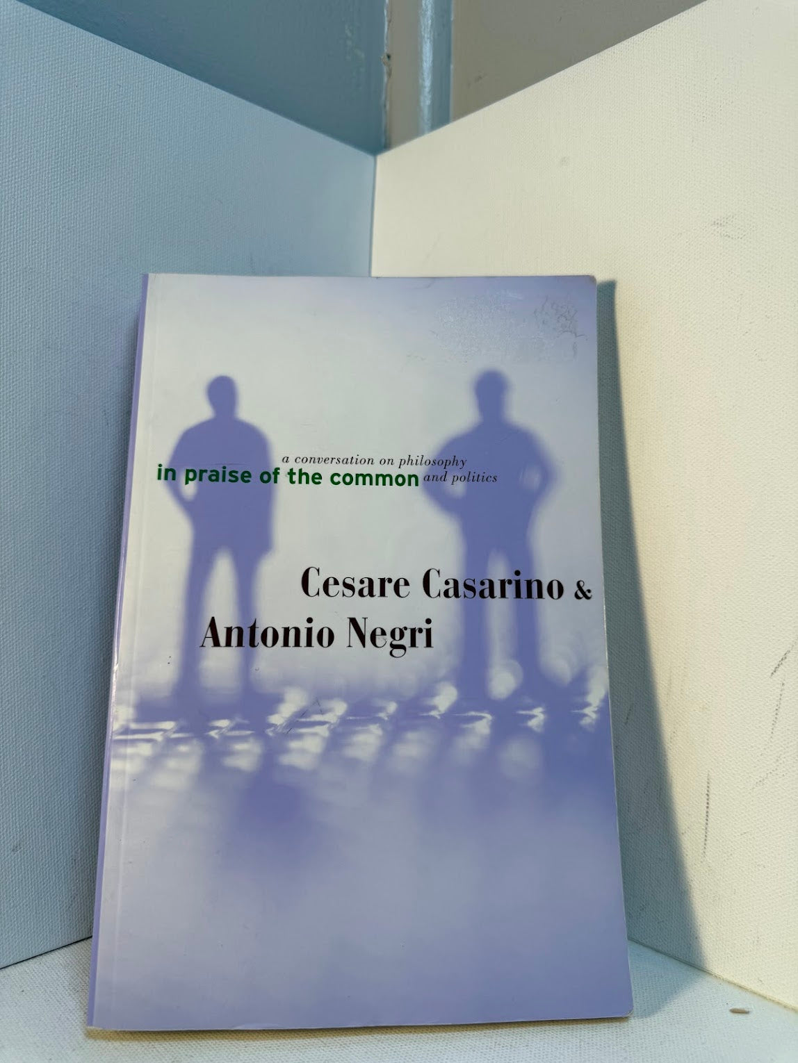 In Praise of the Common by Cesare Casarino & Antonio Negri