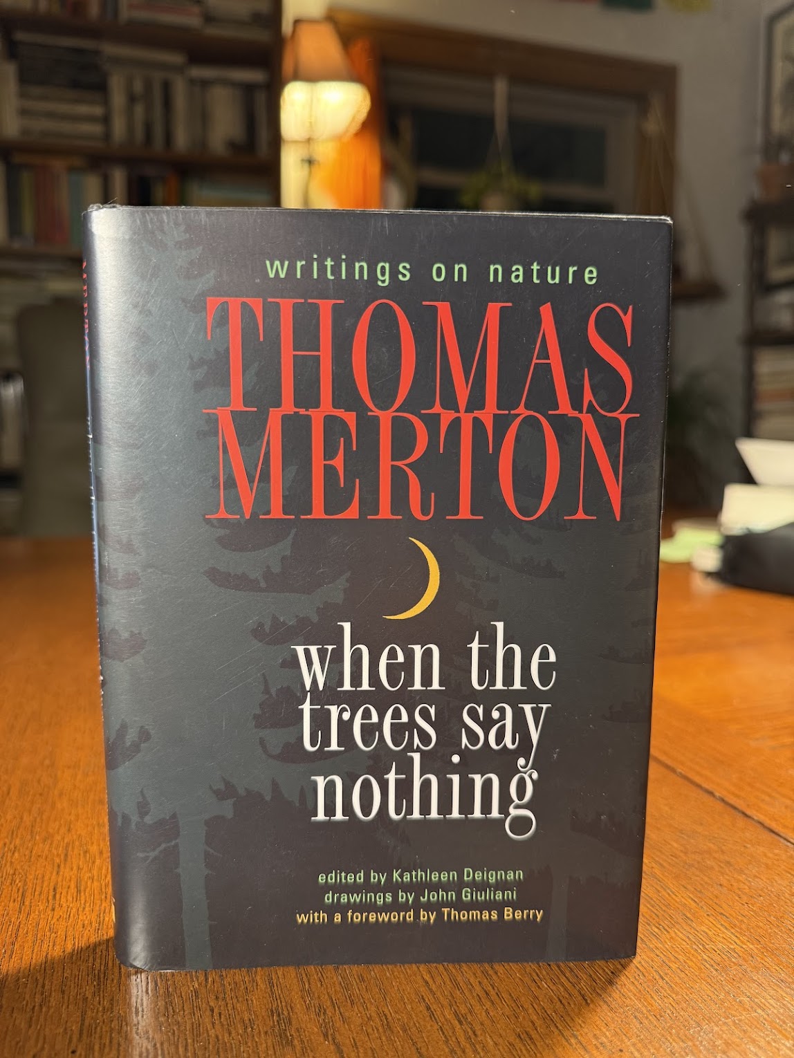 When the Trees Say Nothing by Thomas Merton