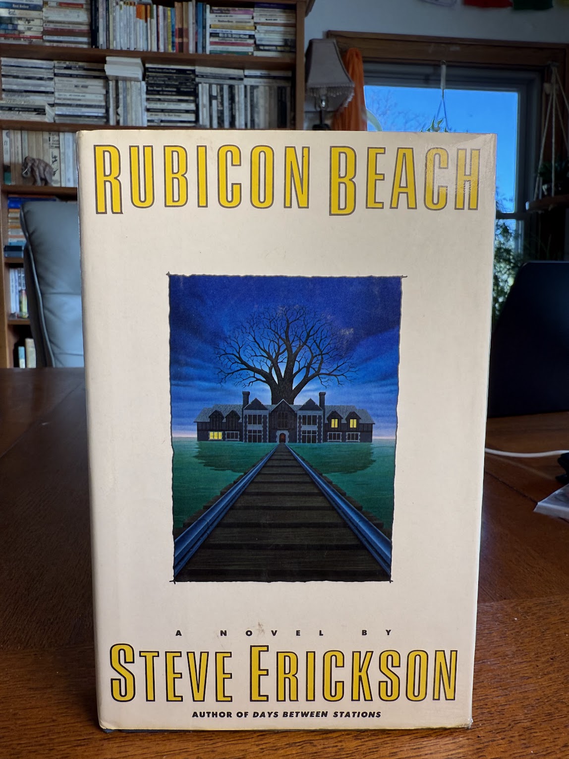 Rubicon Beach by Steve Erickson