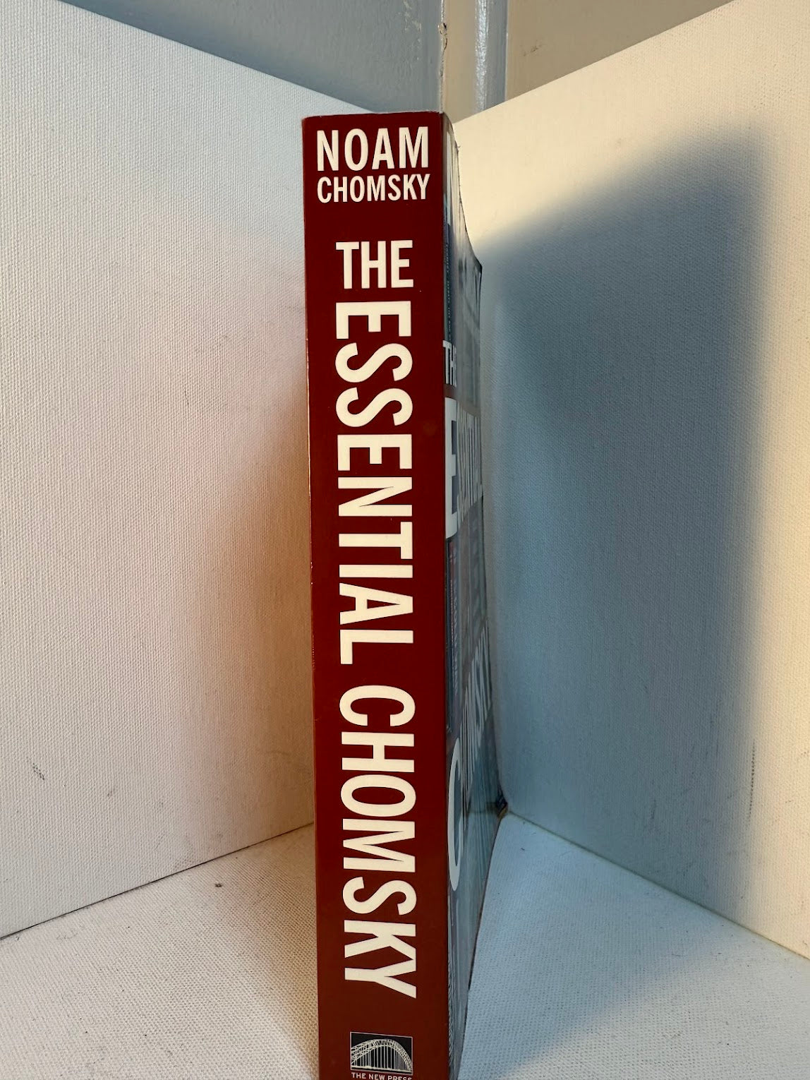 The Essential Chomsky edited by Anthony Arnove