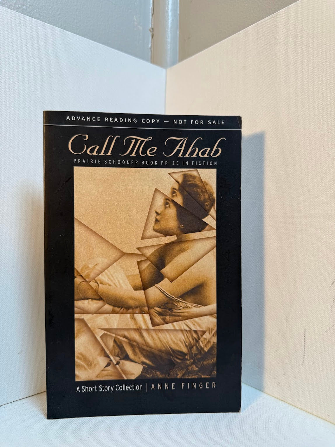 Call Me Ahab by Anne Finger