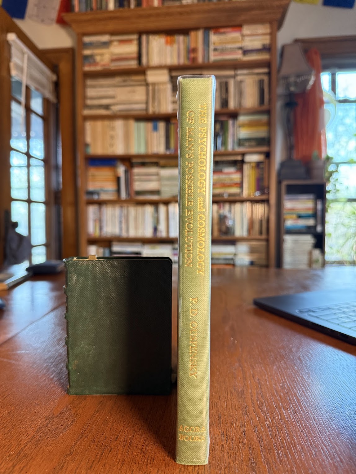 The Psychology and Cosmology of Man's Possible Evolution by P.D. Ouspensky